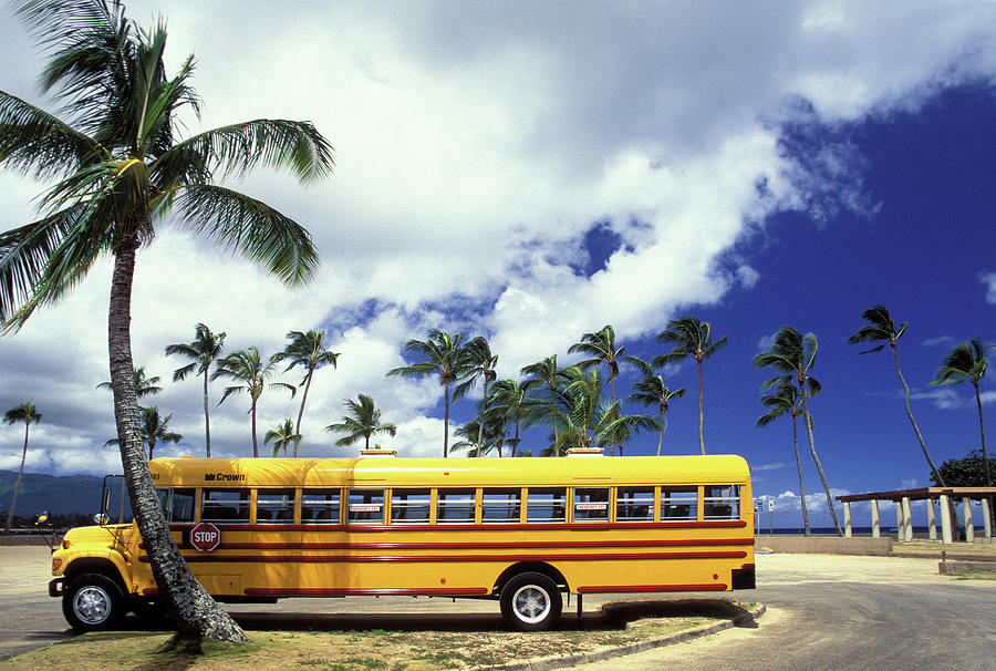 Bright Photograph - Haleiwa School Bus by Sean Davey