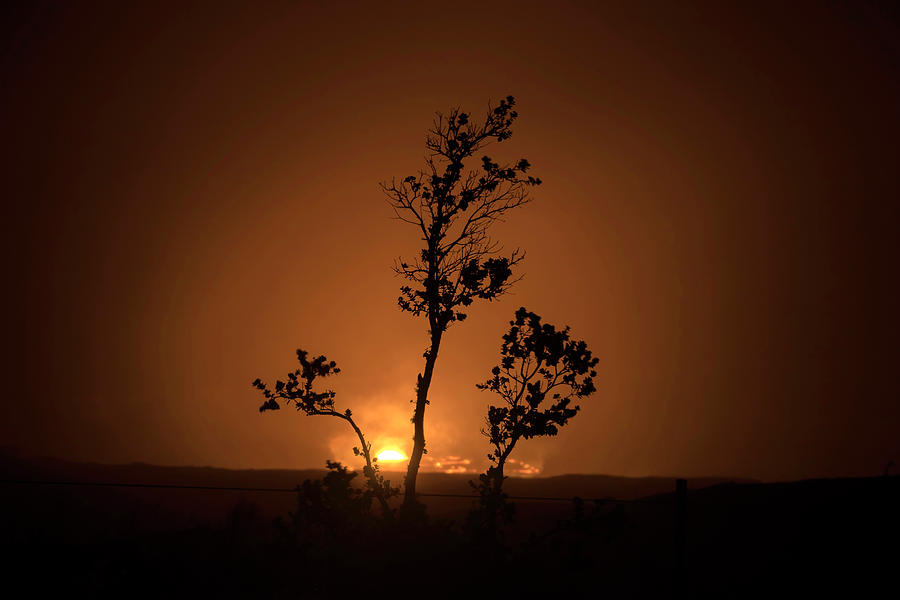Halemaumau Ohia Silhouette Photograph by Christopher Johnson
