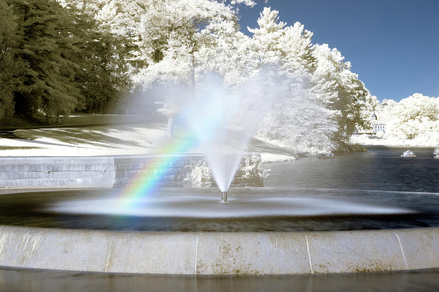 HaleSpectrum Rainbow Photograph by Brian Hale