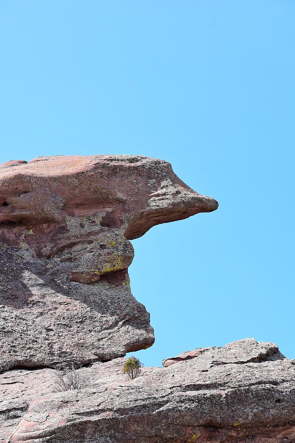 Half-a-head Rock Photograph by Sharon Horning - Pixels