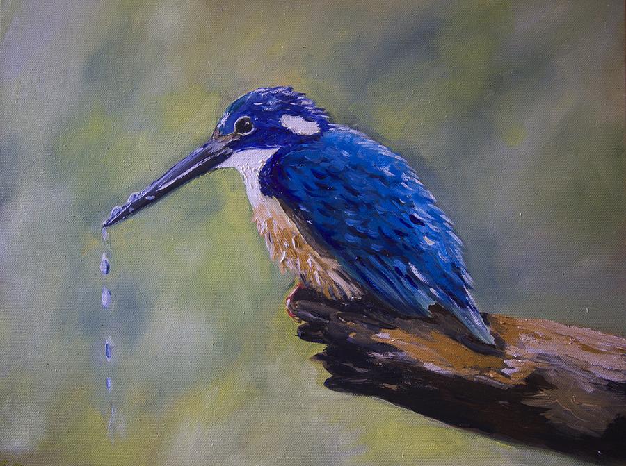 Half Collared Kingfisher Painting by Cynthia Farr - Fine Art America