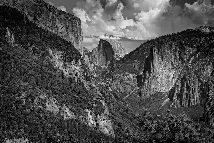 Yosemite National Park Photograph - Half Dome and El Capitan in Black and White by Rick Berk