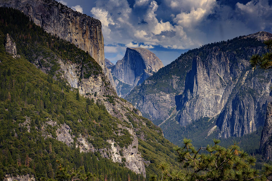 Yosemite National Park Photograph - Half Dome and El Capitan by Rick Berk