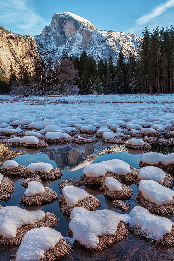 Half Dome And Its Reflection Photograph by Jonathan Nguyen