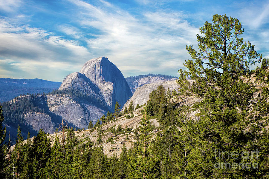Half Dome And Olmstead Point Photograph by Mimi Ditchie