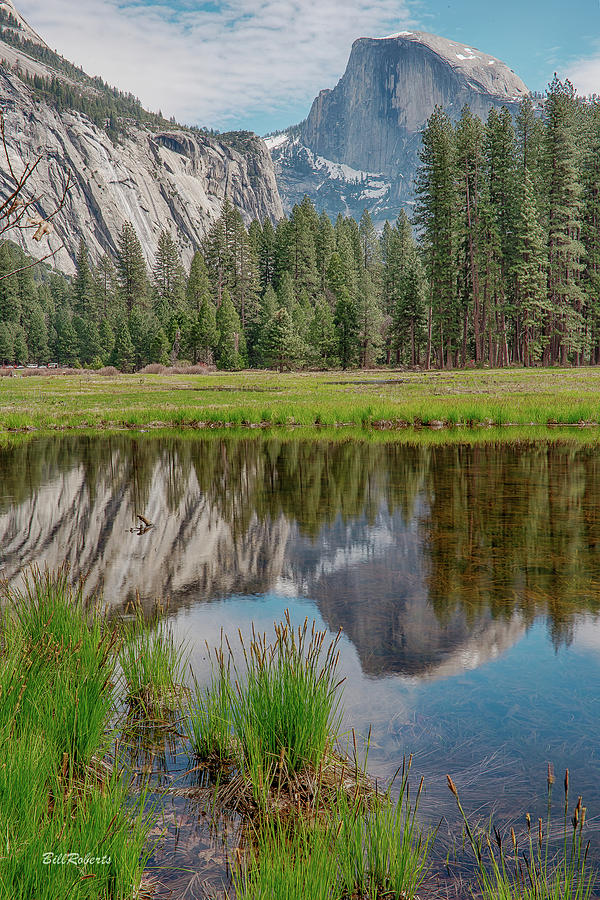 Half Dome and the Meadow Photograph by Bill Roberts