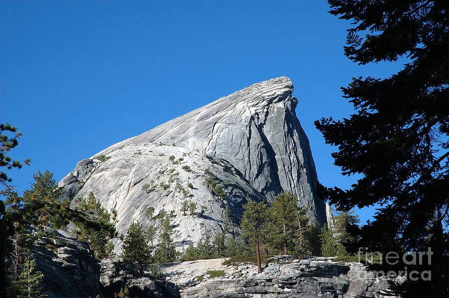 Half Dome at Yosemite 6 Photograph by Micah May
