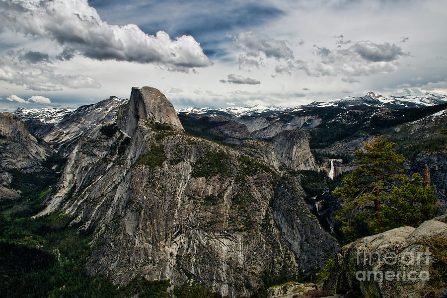 Half Dome at Yosemite Photograph by David Arment