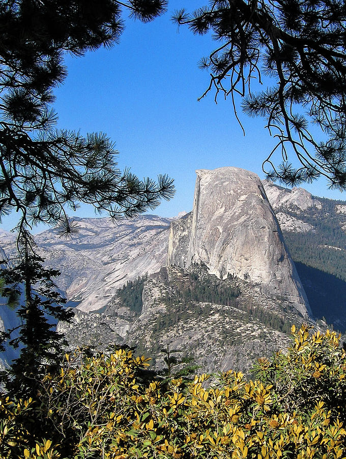 Half Dome Framed Photograph by Ginger Stein
