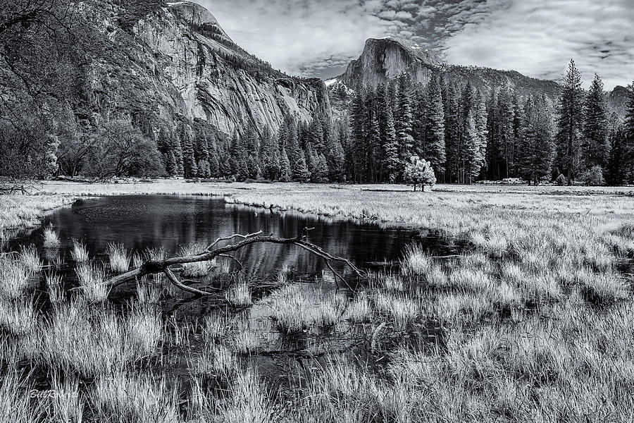 Half Dome From Cooks Meadow Photograph by Bill Roberts