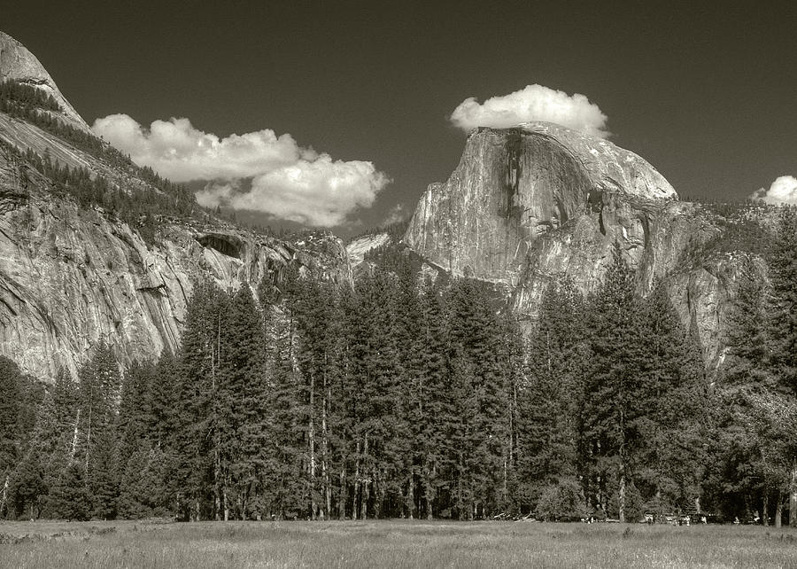 Half Dome from Meadow Photograph by Michael Kirk