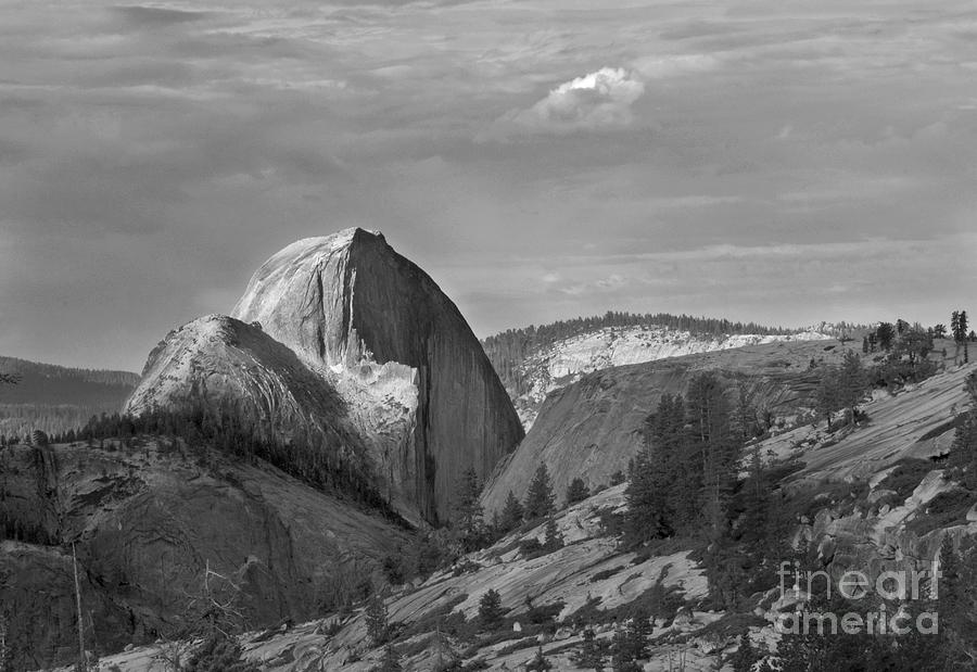 Half Dome from Olmstead Point Photograph by Richard Verkuyl