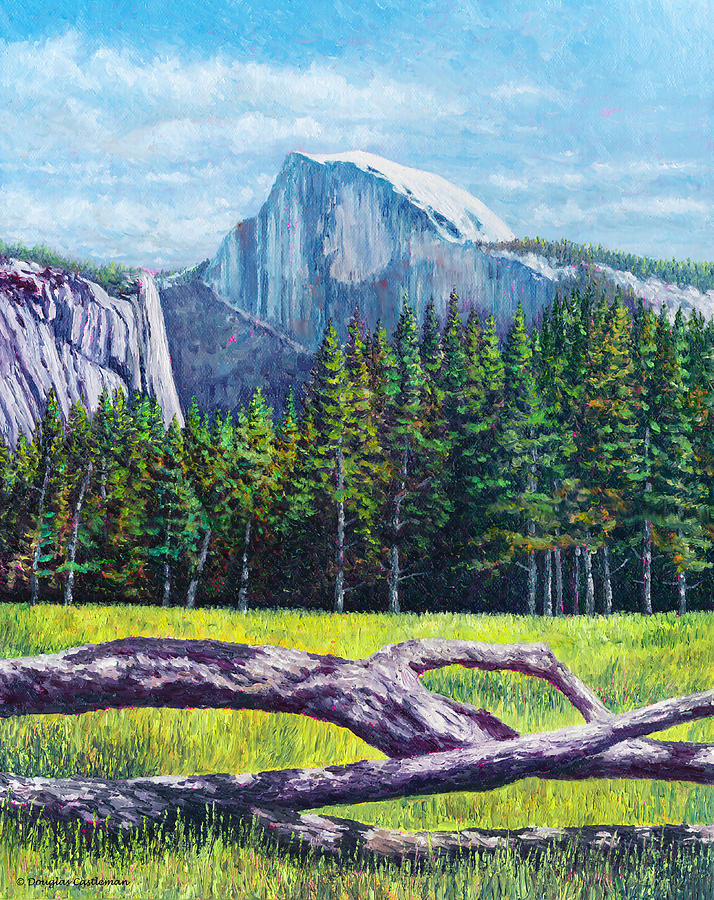 Half Dome from Valley Floor Painting by Douglas Castleman
