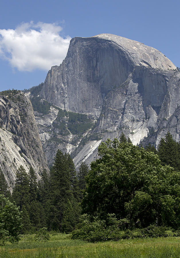 Half Dome from Yosemite Valley Photograph by Brendan Reals