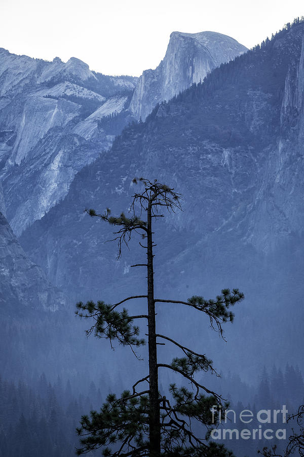 Half Dome In Haze Photograph by Timothy Hacker