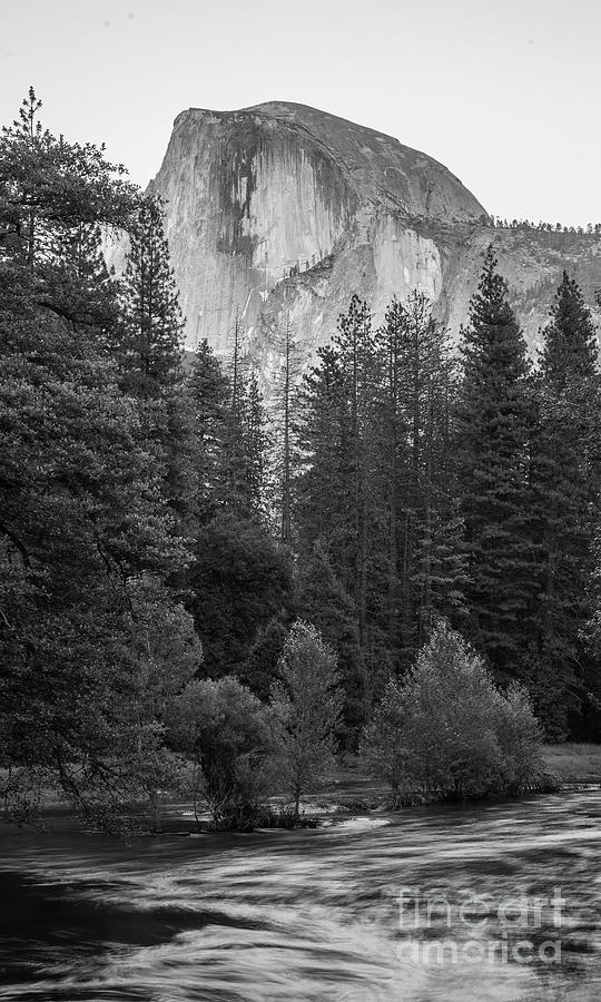 Yosemite National Park Photograph - Half Dome in Monochrome by Michael Tidwell