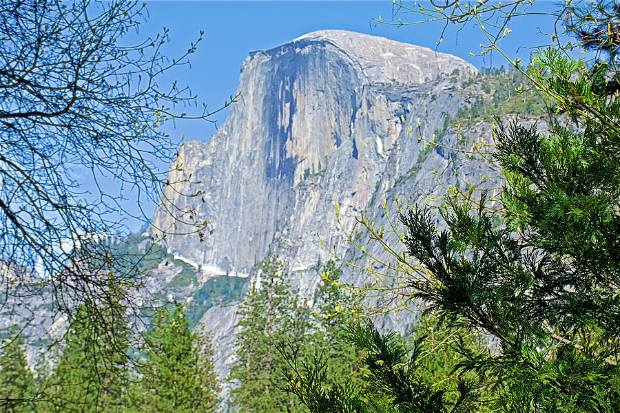 Half Dome in Spring from Yosemite Valley in Yosemite National Park, California   Photograph by Ruth Hager