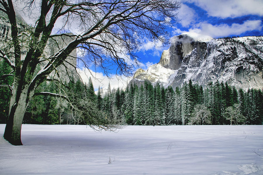 Yosemite National Park Photograph - Half Dome In The Snow by Her Arts Desire