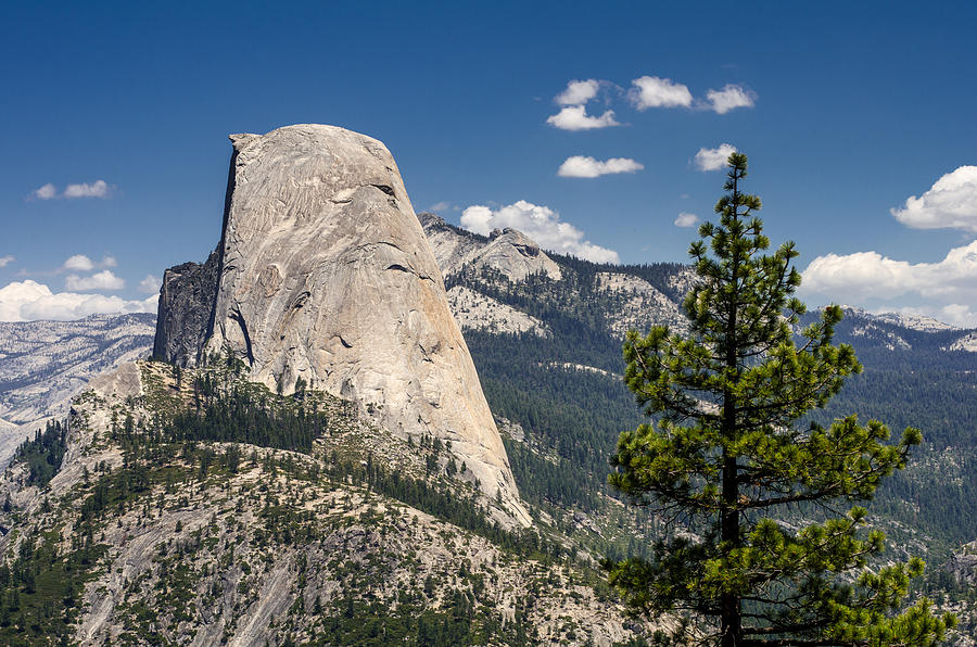 Yosemite National Park Photograph - Half Dome by Ingo Scholtes