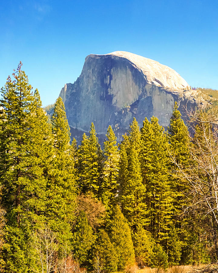 Yosemite National Park Photograph - Half Dome by Lutz Baar