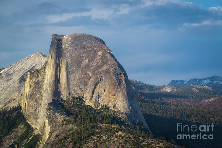 Half Dome Photograph by Michael Ver Sprill
