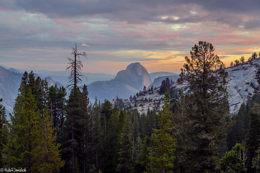 Half Dome Photograph by Mike Ronnebeck
