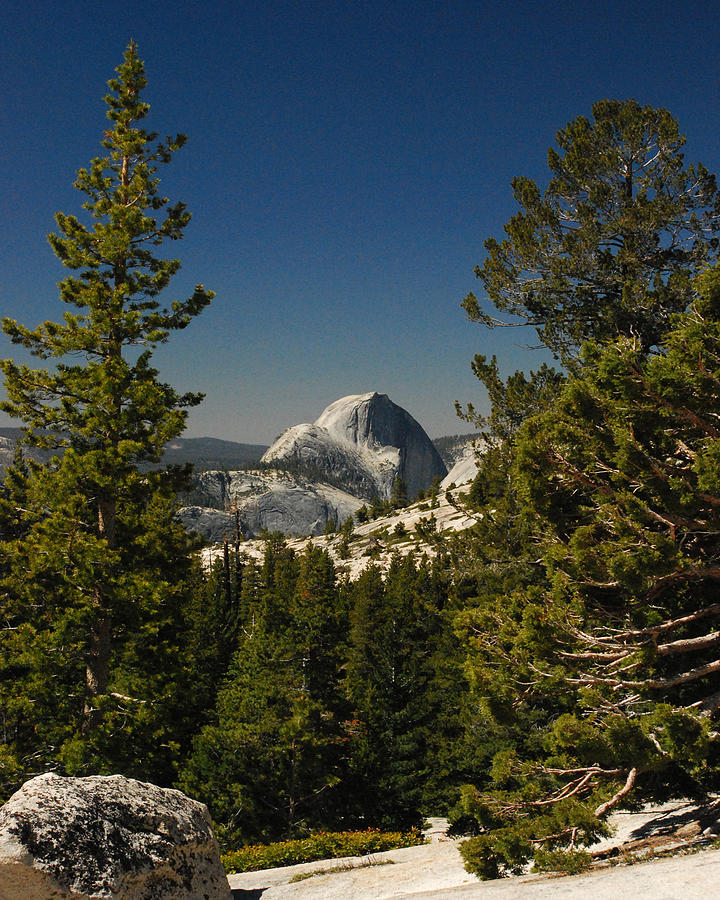 Half Dome Photograph by Pamela Peters