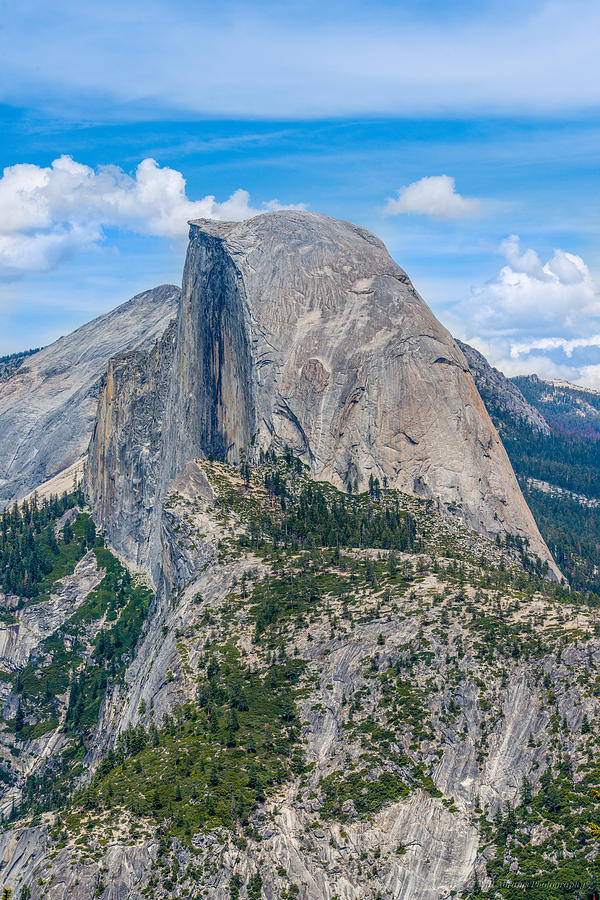 Half Dome Photograph by Phil Abrams
