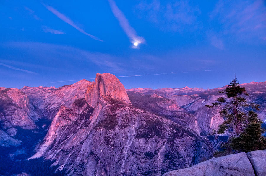 Half Dome Pink Sunset Full Moon Photograph by Connie Cooper-Edwards