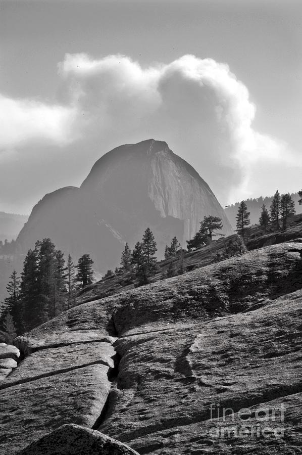 Yosemite National Park Photograph - Half Dome by Richard Verkuyl