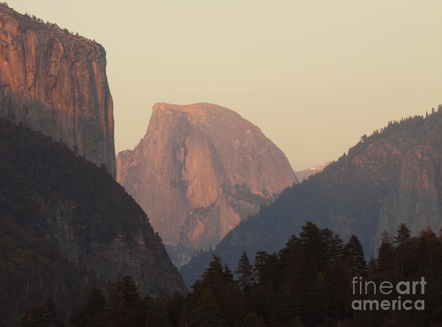 Half Dome Rising In Distance Photograph by Max Allen