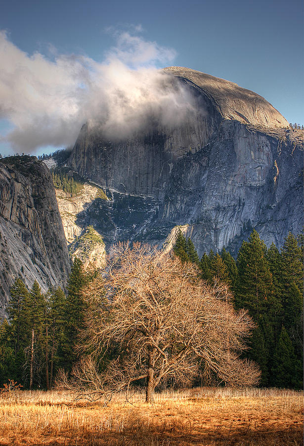 Half Dome Undercover Photograph by Tracy Thomas