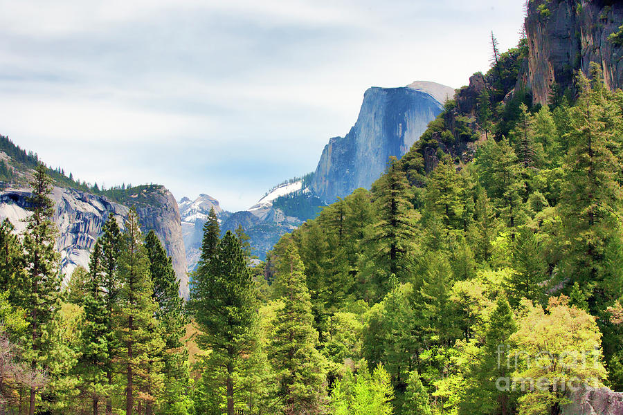 Half Dome Views Yosemite  Photograph by Chuck Kuhn