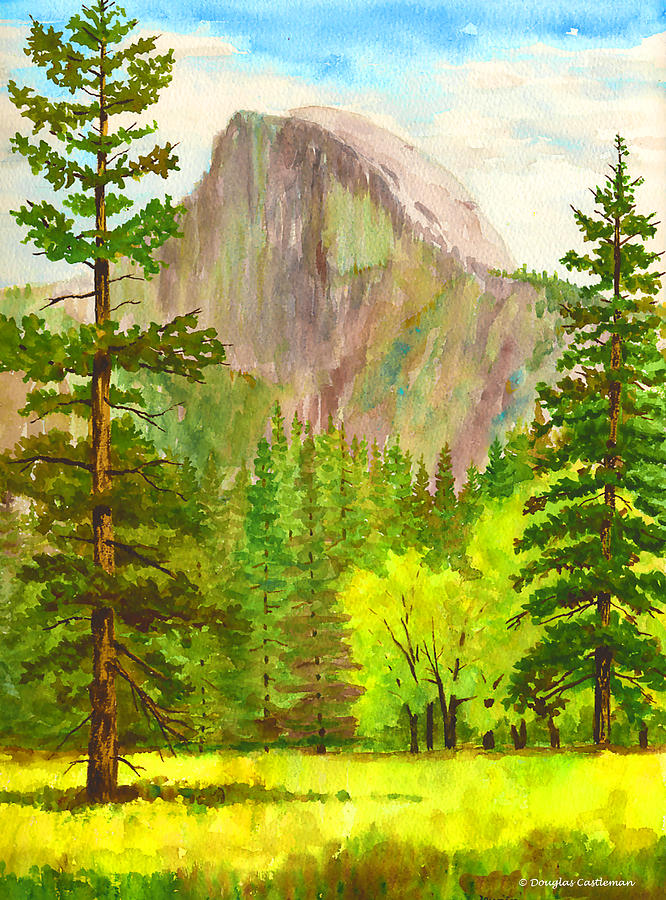 Half Dome with trees Painting by Douglas Castleman