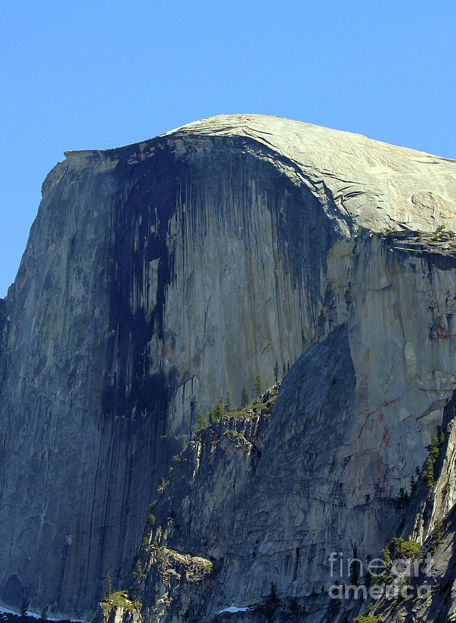 Half Dome Yosemite 6799 Photograph by Jack Schultz