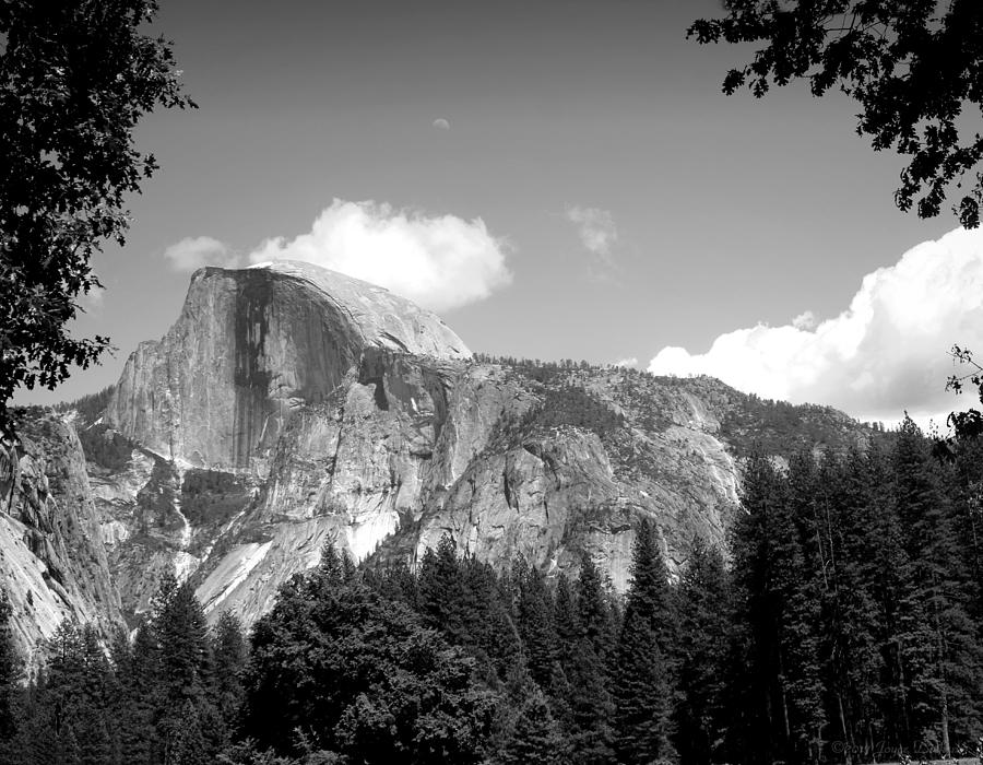 Half Dome Yosemite B and W Photograph by Joyce Dickens