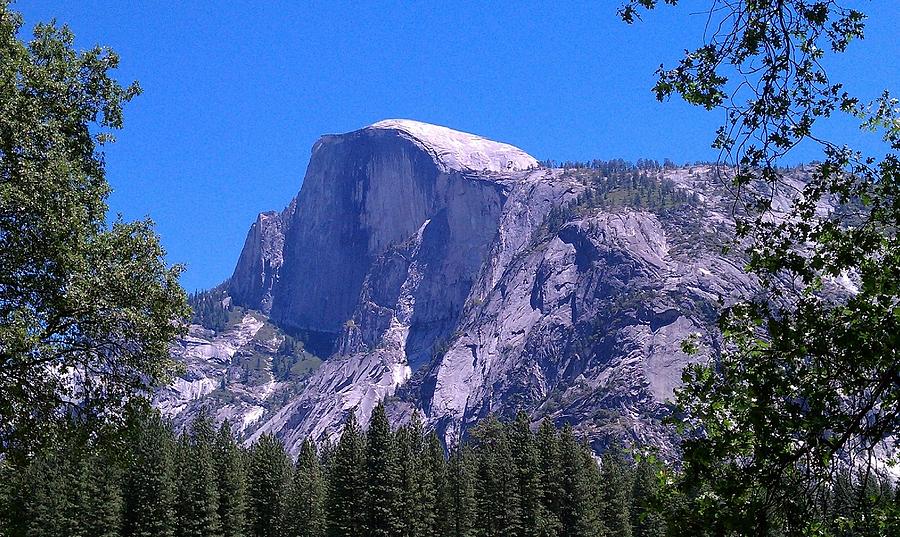 Half Dome Yosemite  Photograph by Dennis Boyd