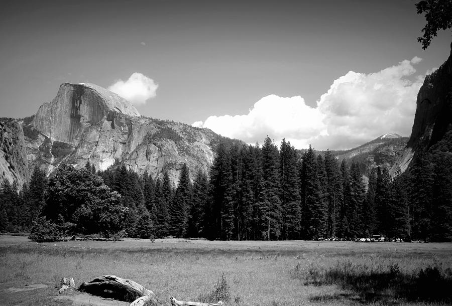 Half Dome Yosemite From The Meadow B And W Photograph by Joyce Dickens