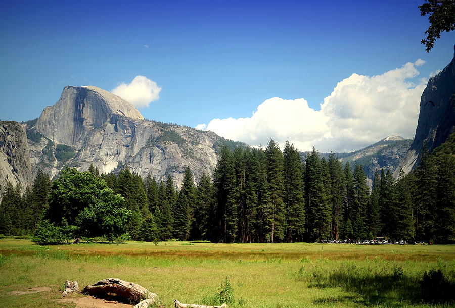 Half Dome Yosemite From The Meadow Photograph by Joyce Dickens