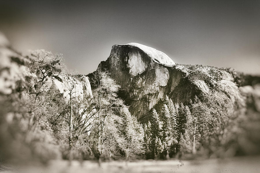 Half Dome Yosemite Photograph by James Bethanis