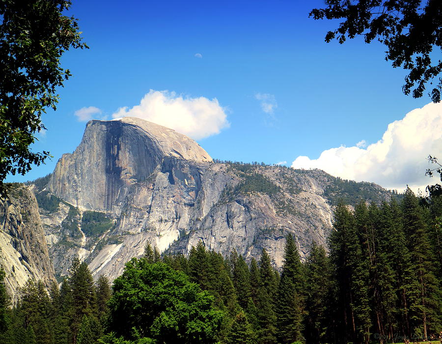 Half Dome Yosemite Photograph by Joyce Dickens