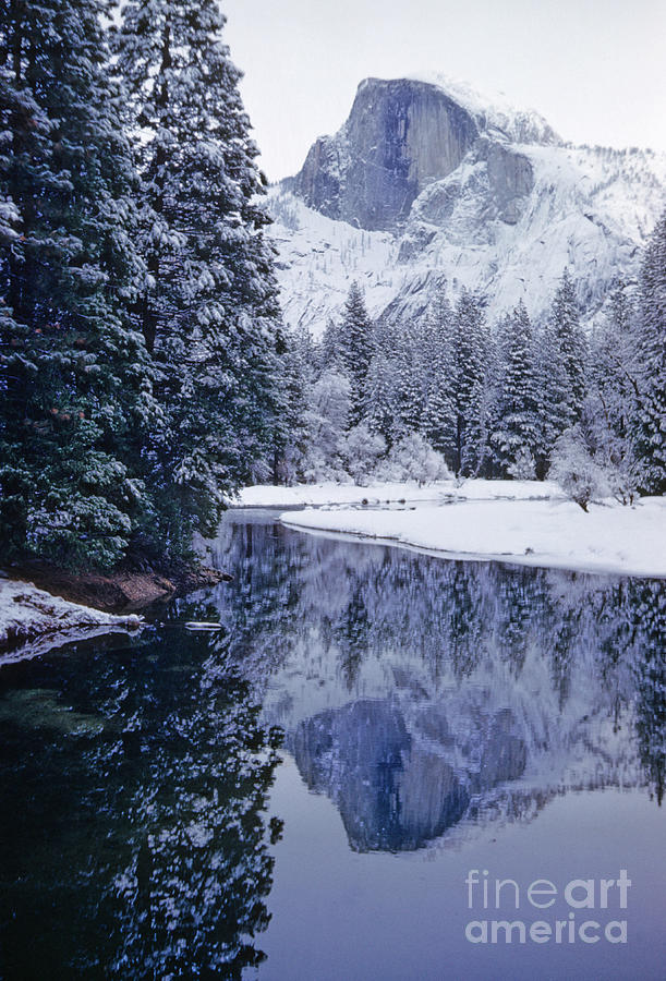 Yosemite National Park Photograph - Half Dome Yosemite National Park California by American School
