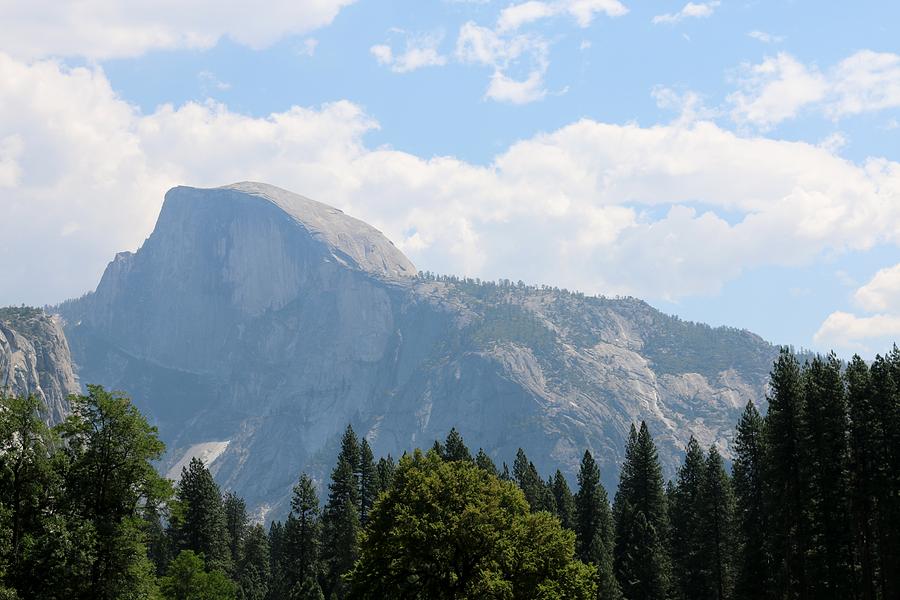 Half Dome - Yosemite National Park  Photograph by Christy Pooschke