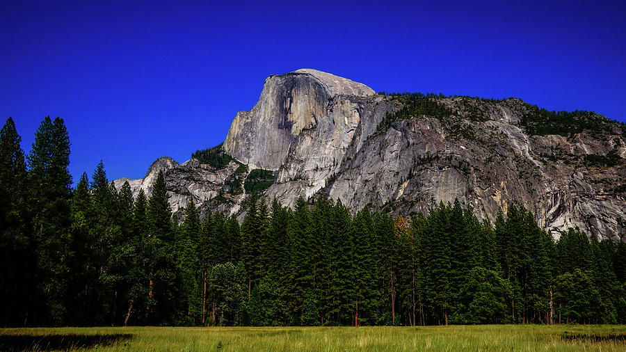 Half Dome Yosemite National Park Photograph by Lawrence S Richardson Jr