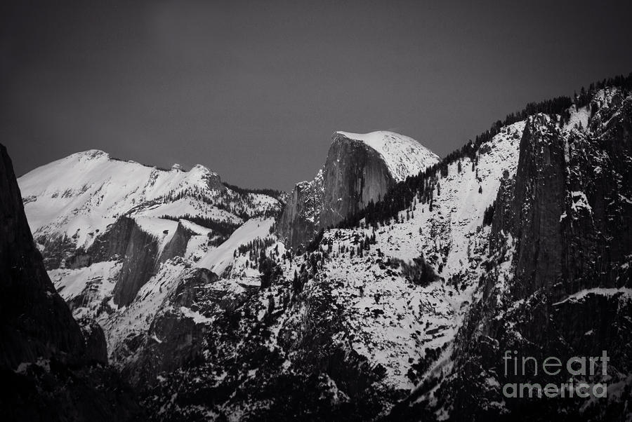 Half Dome Yosemtie Black and White Photograph by Jim And Emily Bush