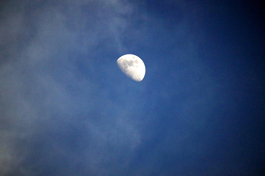 Half-moon Photograph by Beth Collins
