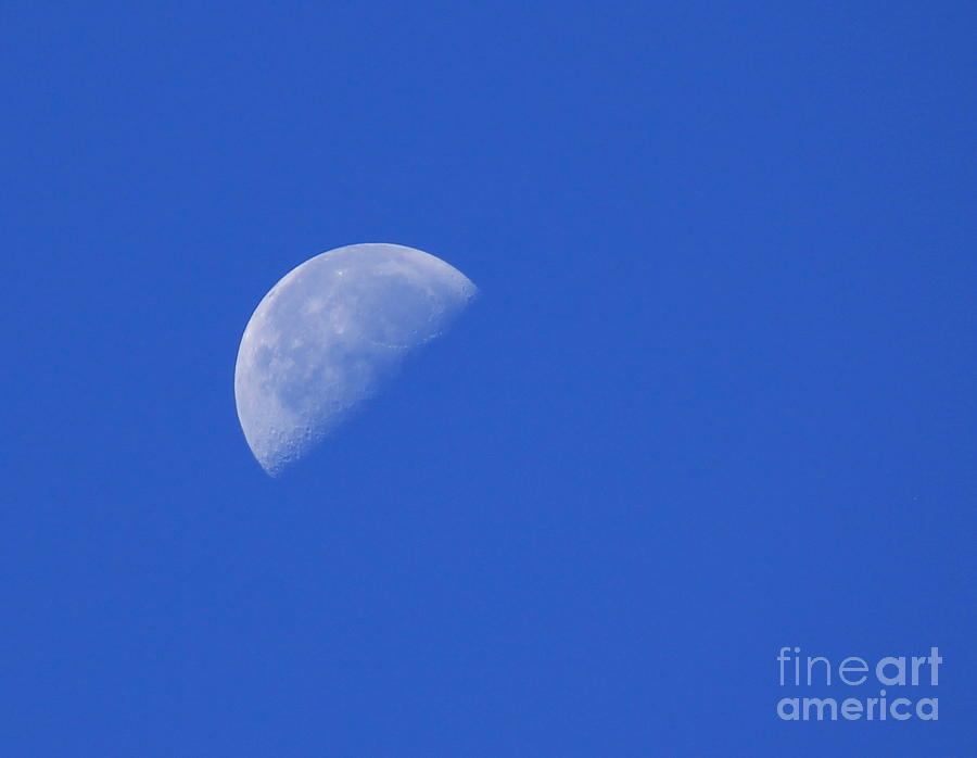 Half Moon Photograph by Tommy Baker