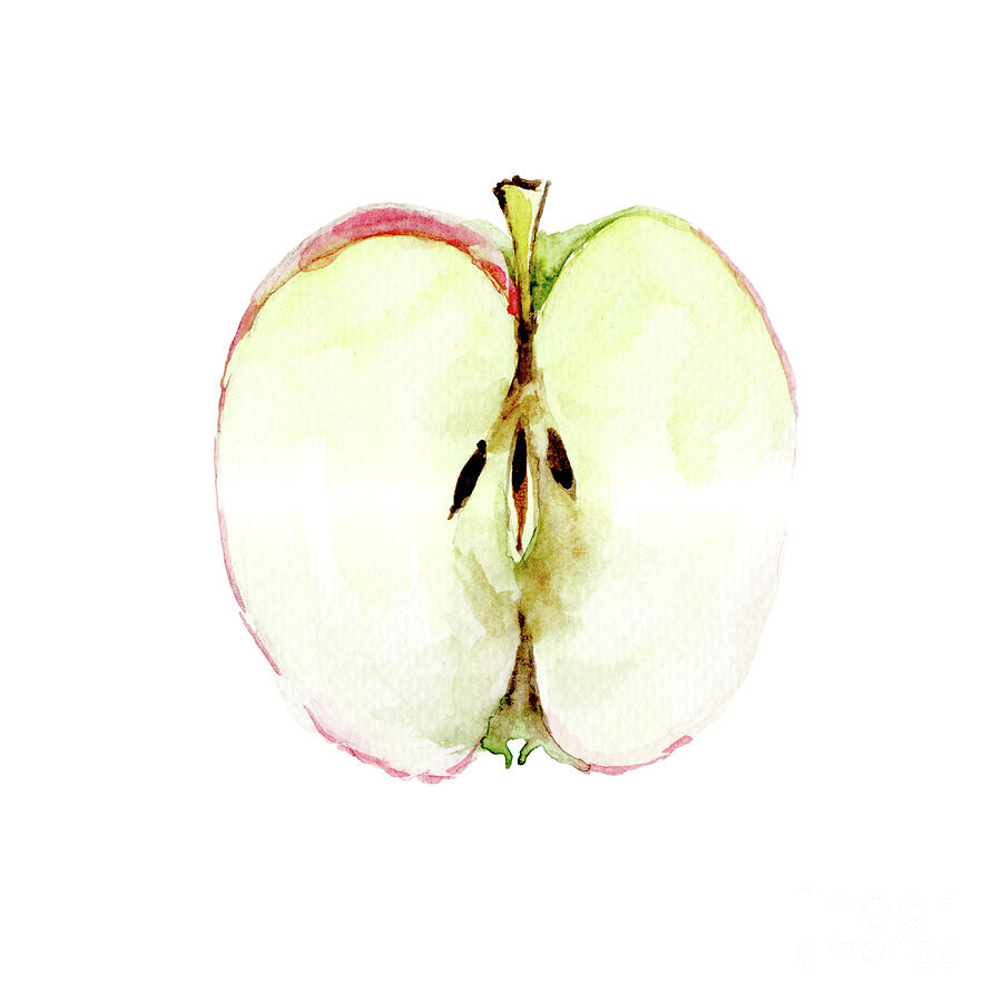 Половинка яблока акварелью