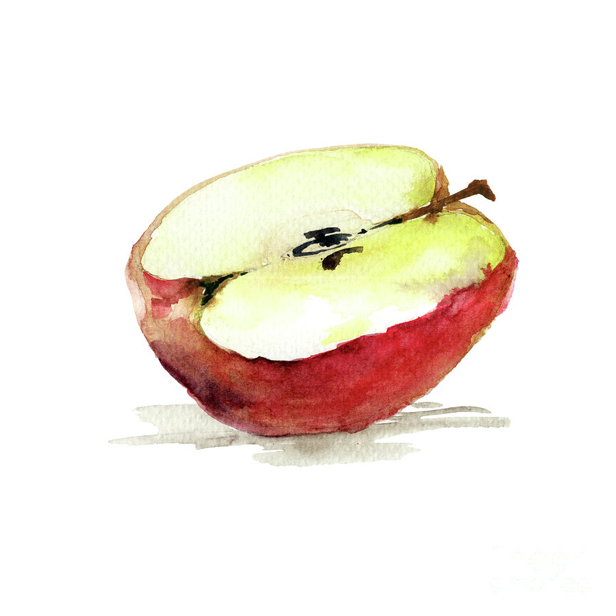 Half of fresh apple Painting by Regina Jershova