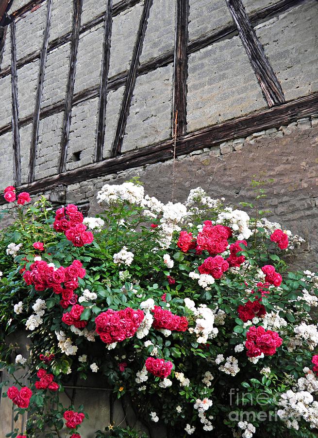 Architecture Photograph - Half Timbers and Roses 2 by Sarah Loft